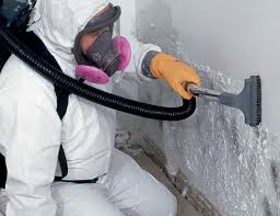 Best Commercial Mold Inspection in Goodwater, AL